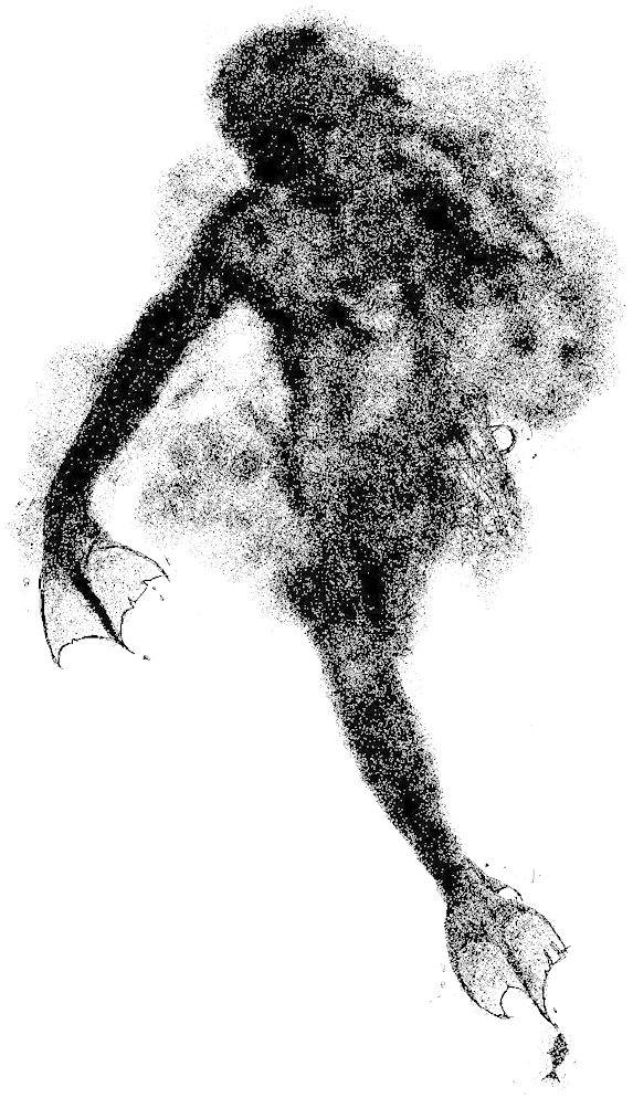 Comte De Lautréamont (776x1071), Png Download