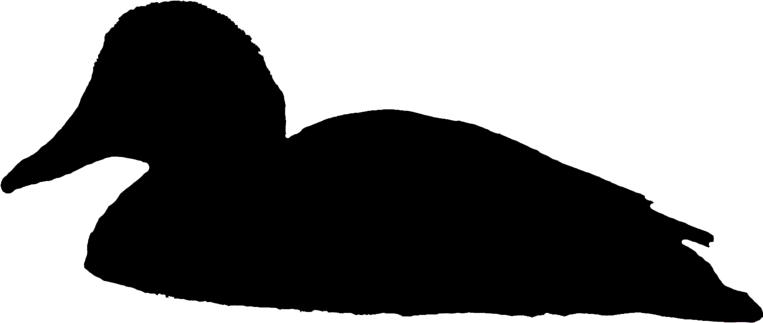 Download Comments Swimming Duck Silhouette Png Png Image With No Background Pngkey Com