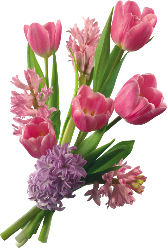Related Wallpapers - Flowers Bouquet Tulips Png (540x800), Png Download