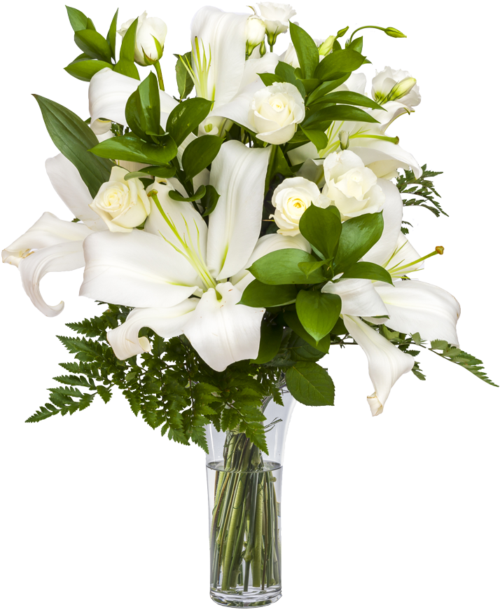 Sonrisas Blancas " El Blanco Es El Símbolo De Pureza, - Person (1024x1024), Png Download