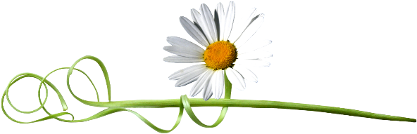 - - Ramo De Flor Png (610x225), Png Download