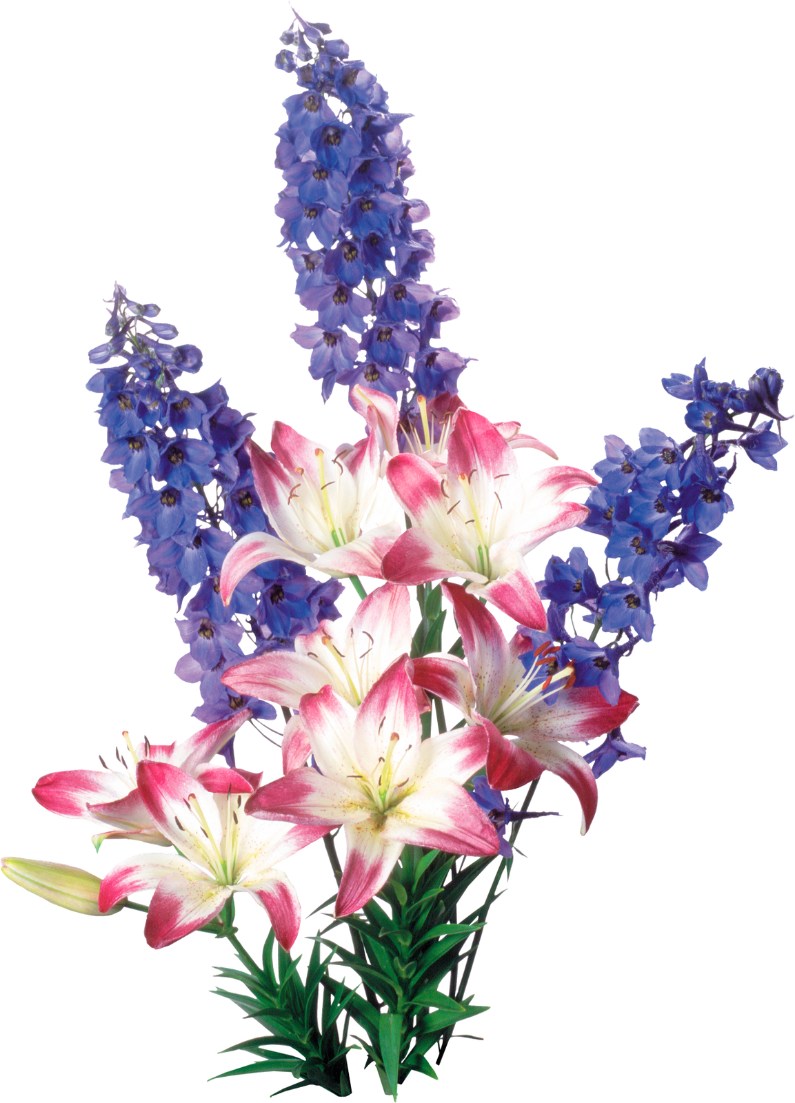 Ramo De Flores Png Productos - Flores Png (1153x1600), Png Download