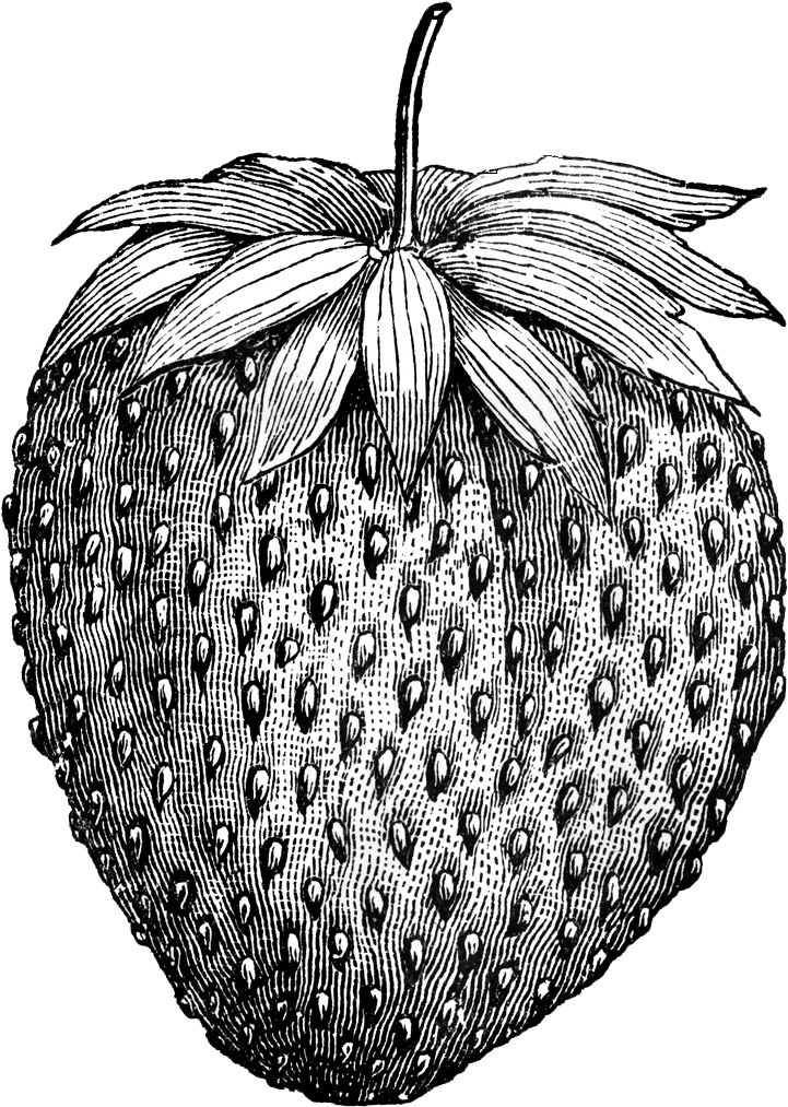 Free Vintage Digital Stamps** - Strawberry Tattoo Black And White (726x1024), Png Download