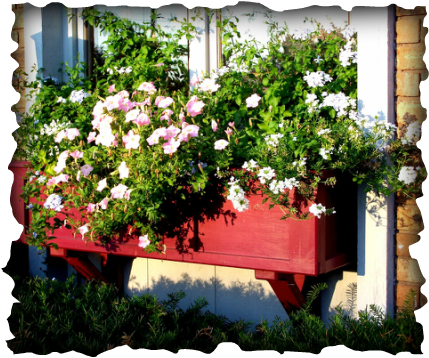 This Window Box Is Not At All Like Those Flimsy Little - Kerterre (429x358), Png Download