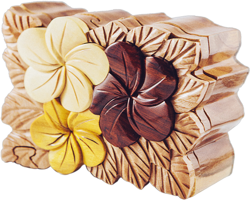 Flower (550x430), Png Download