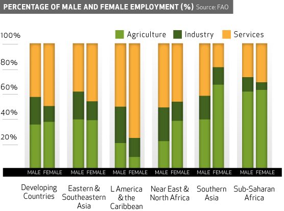 Org/women"><img Src="http - Women's Role In Agriculture Pdf (556x413), Png Download