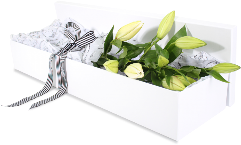 Boxed Lilies - Boxed.com (480x304), Png Download