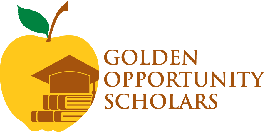 That's An Equation Tha Golden Opportunity Scholars - Elvis Gold (vinyl Record) (902x450), Png Download