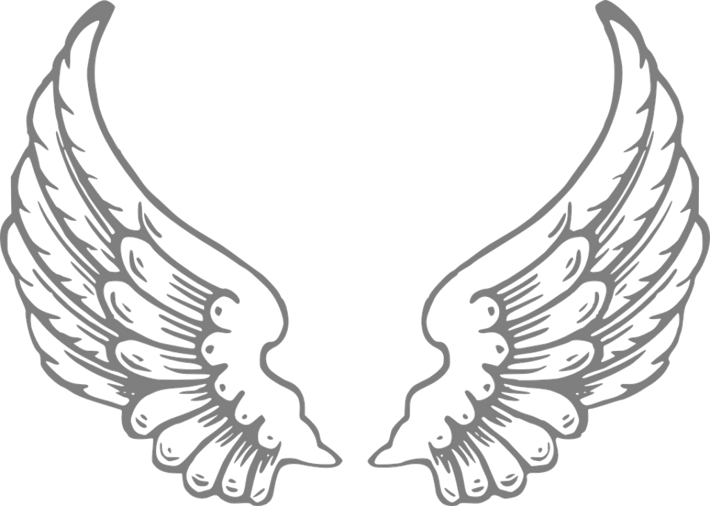 Angel Wings Outline Png (960x685), Png Download