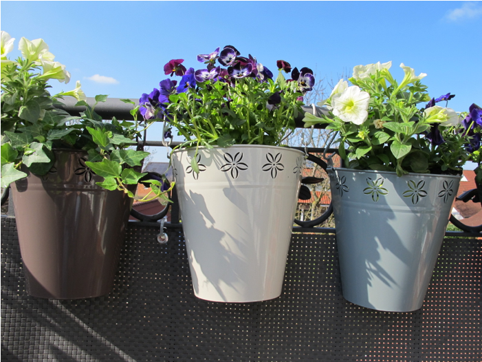 Flowerpot (700x700), Png Download