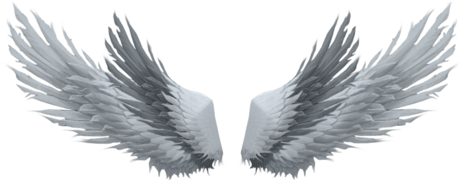 Algumas Asas Lindas Que Encontrei Pelo Google - ปีก เท่ ๆ Png (950x453), Png Download