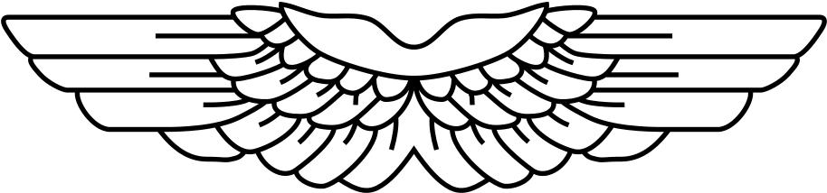 File - Asas008 - Svg - Asas Exercito Png (931x1024), Png Download