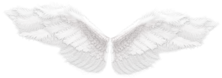 Angel Wings Free Stock (1000x476), Png Download