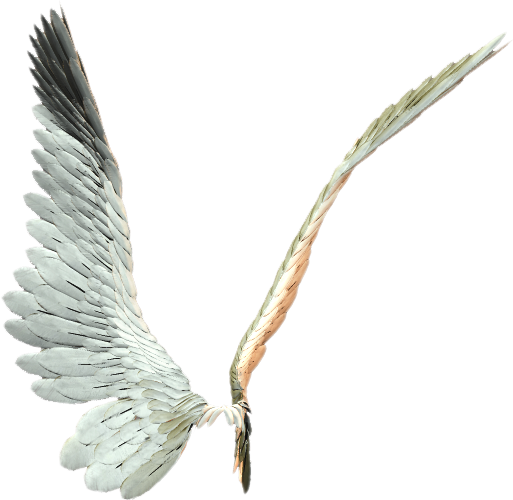 Blanche - Asas De Anjo Png Dourada (513x500), Png Download