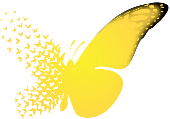 Butterfly Logo - Butterfly Effect (550x463), Png Download