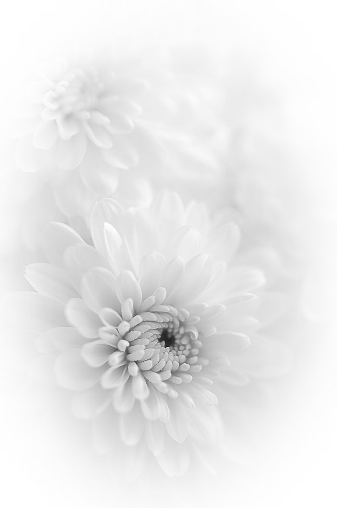 Artificial Flower (680x1024), Png Download