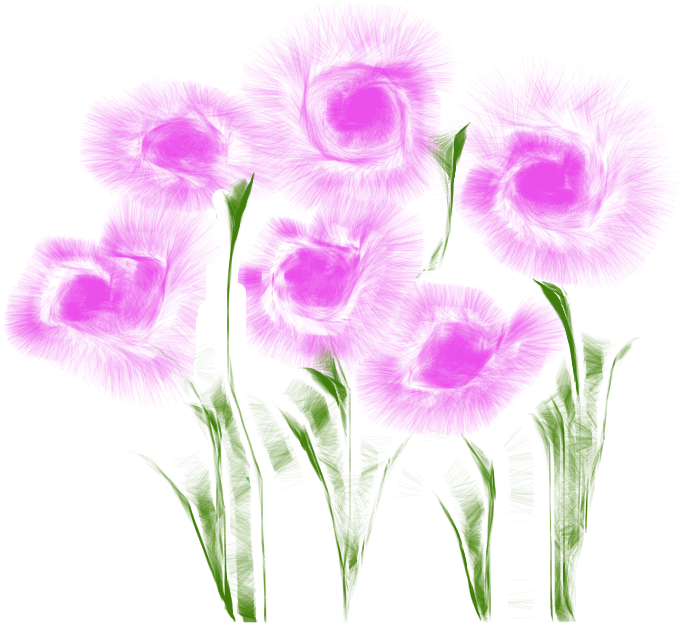 Flowers - Gilliflower (1514x706), Png Download