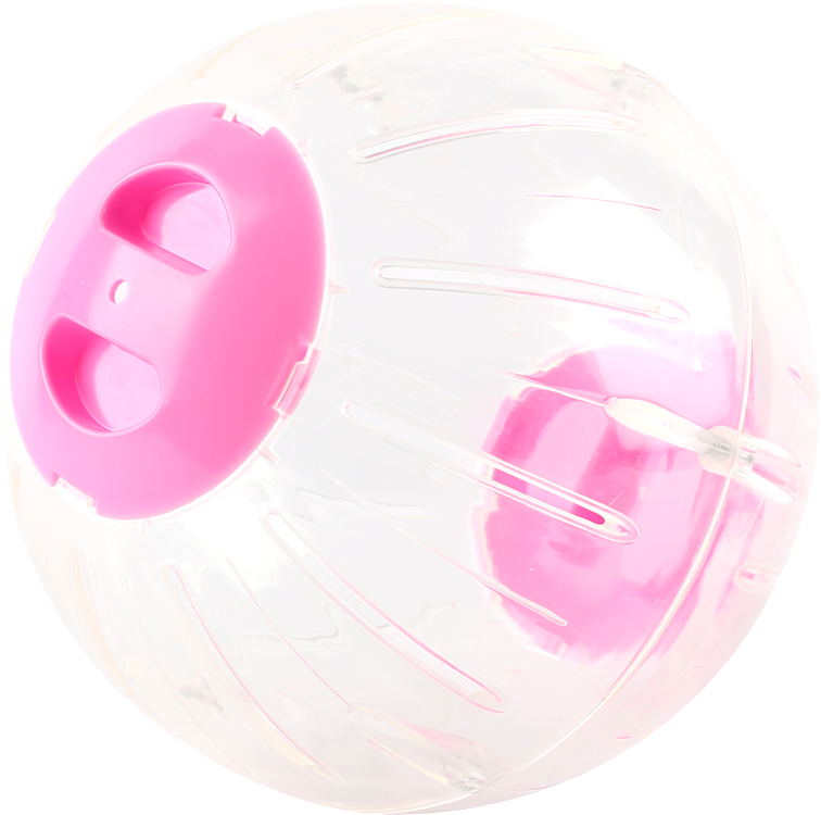 Carno Carno Hamster Ball Chinchilla Rolling Ball Hamster - Circle (800x800), Png Download
