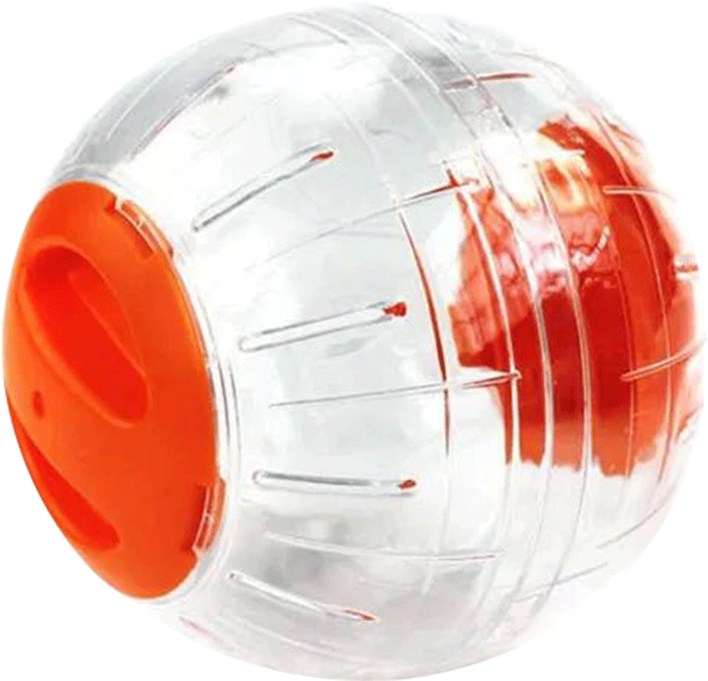 Pets Still Hamsters Running Ball Silent Running Wheel (800x800), Png Download