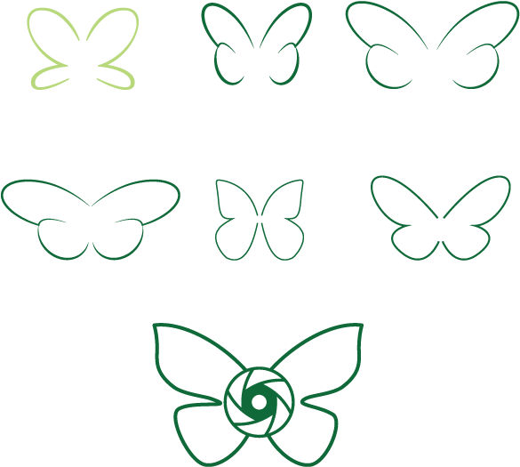 How Long Did It Take To Complete The Logo - Butterfly Wing (614x614), Png Download