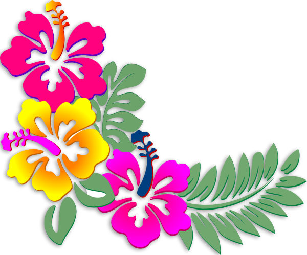Hibiscus Clipart Coral - Flores Y Hojas Hawaianas (600x499), Png Download