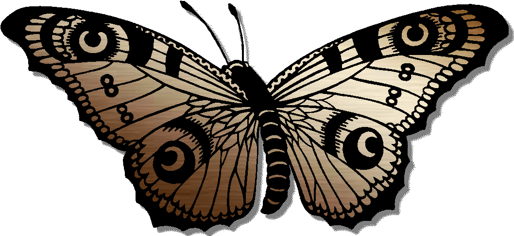 Copper Butterfly Logo - Coppers (1069x485), Png Download