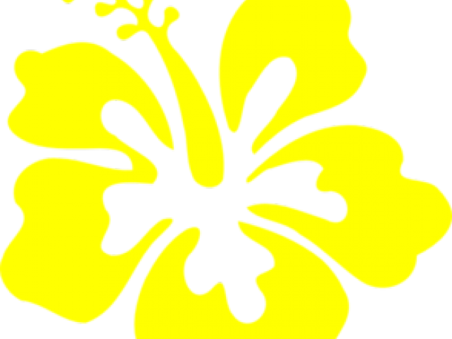 Hibiscus Clipart Yellow - 3drose Qs_41667_4 Hawaiian Turquoise And Purple Floral (640x480), Png Download