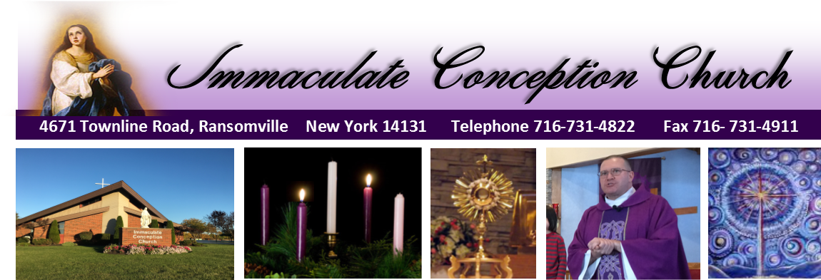 Cropped Advent Webpage 1 - Esquilache Immaculate Conception (1176x392), Png Download