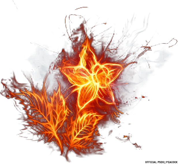 Share This Image - Fire Flower Throw Blanket (617x570), Png Download