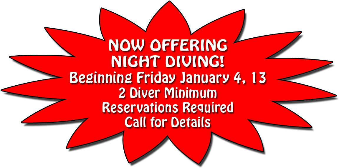 Leave Comment Cancel Reply - Shock Absorber (1500x600), Png Download