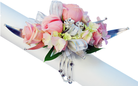 More Views - Wedding (448x300), Png Download