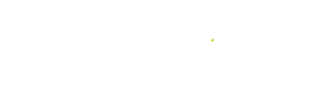 Palmetto Health - Flourish - White Flourish Transparent (1172x304), Png Download