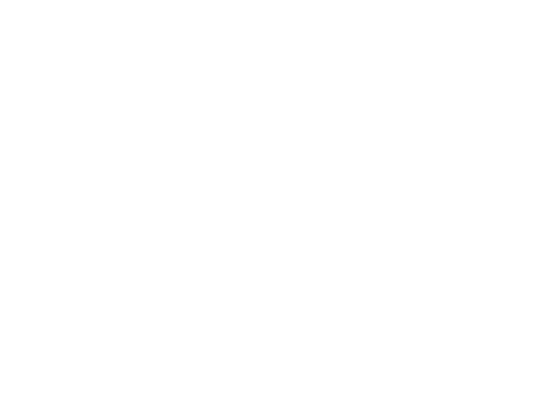 Flourish Test - Twitter Bird White Transparent (1499x1499), Png Download