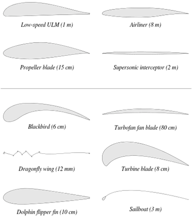 The Air Stops Moving Over The Wing Then Lift Cannot - Aerodynamic Profile (400x453), Png Download