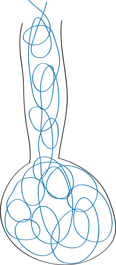 High-frequency Ventilation - Oscillation (438x1001), Png Download