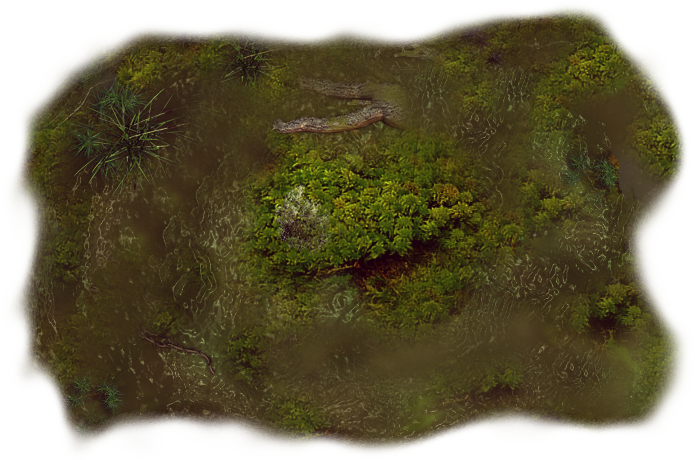 06 Feb 2009 - Moss (695x460), Png Download