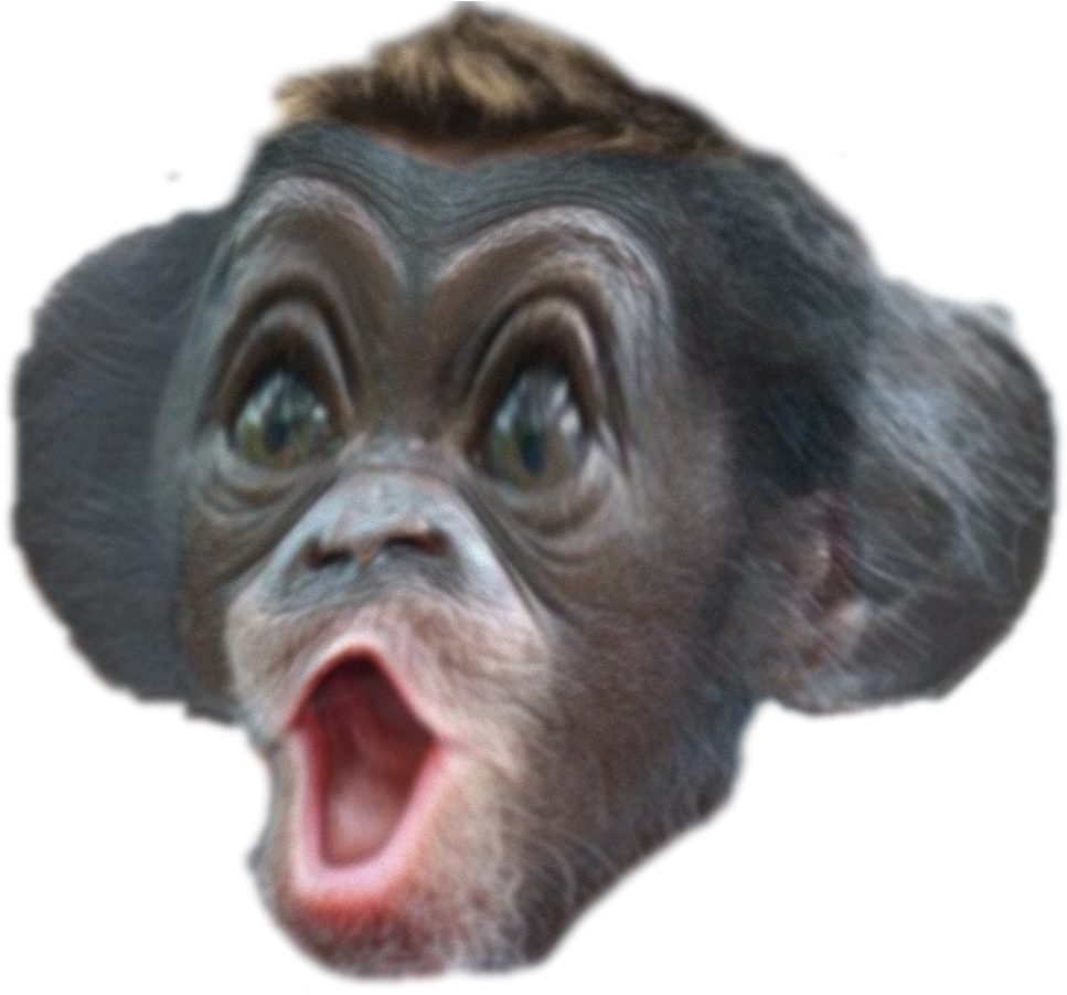 Common Chimpanzee (2000x1000), Png Download