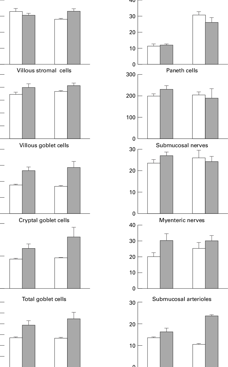 Evects Of The Fibre And Flora On The Morphometry Of - Monochrome (801x1289), Png Download