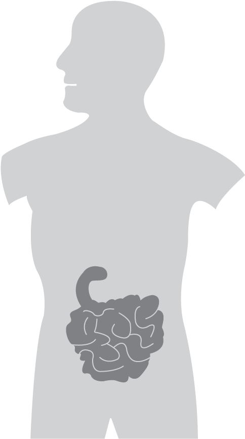 Coffee And Disorders Of The Small Intestine - Coffee (886x886), Png Download
