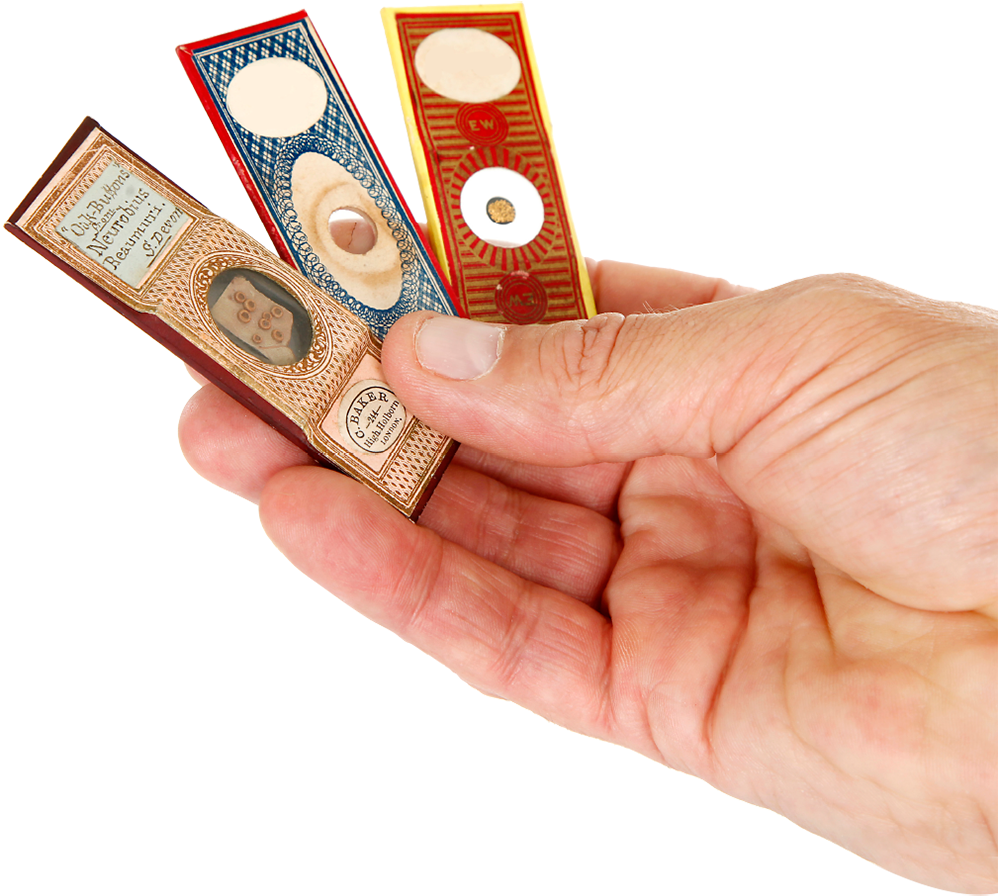 Microslides - Button (1000x916), Png Download