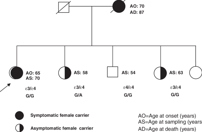 Pedigree Of The Family - Diagram (850x556), Png Download