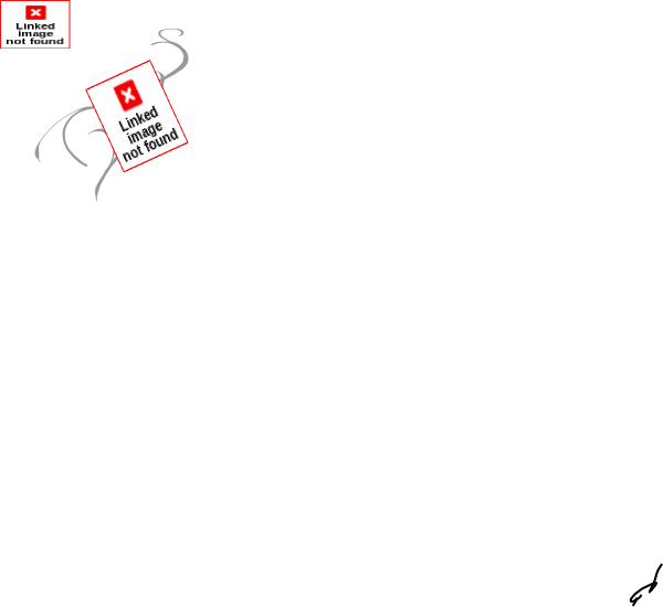 Black Vine With Bird Clip Art - Academy (600x550), Png Download