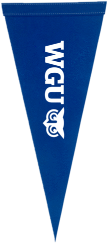 Pennant Flag - Flag (345x518), Png Download