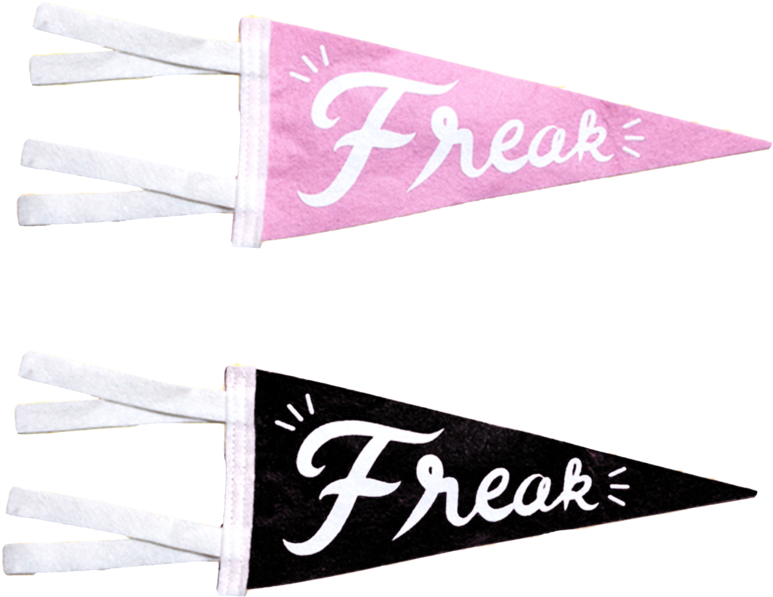 Freak Flag Pennant - Flag (1000x883), Png Download