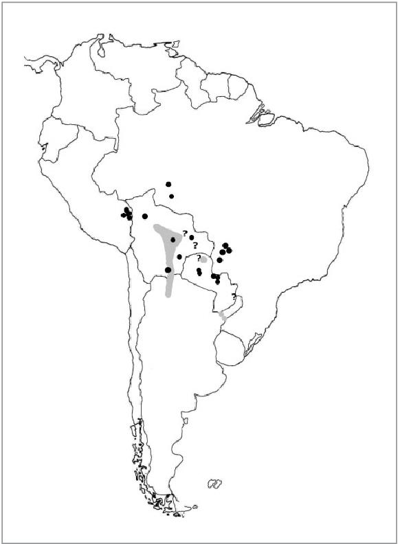 Área De Cría Del Piojito Picudo , Inezia Inornata - Plain Inezia (579x792), Png Download