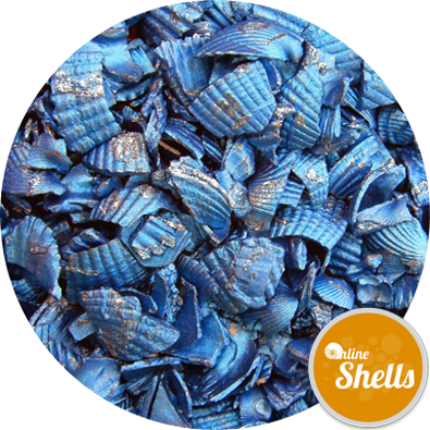 Recycled Coloured Shell - Information (395x395), Png Download