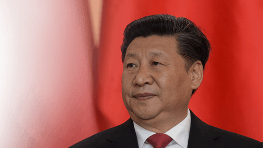 “i'd Never Seen Fleas In The City - Hong Kong President 2017 (531x300), Png Download