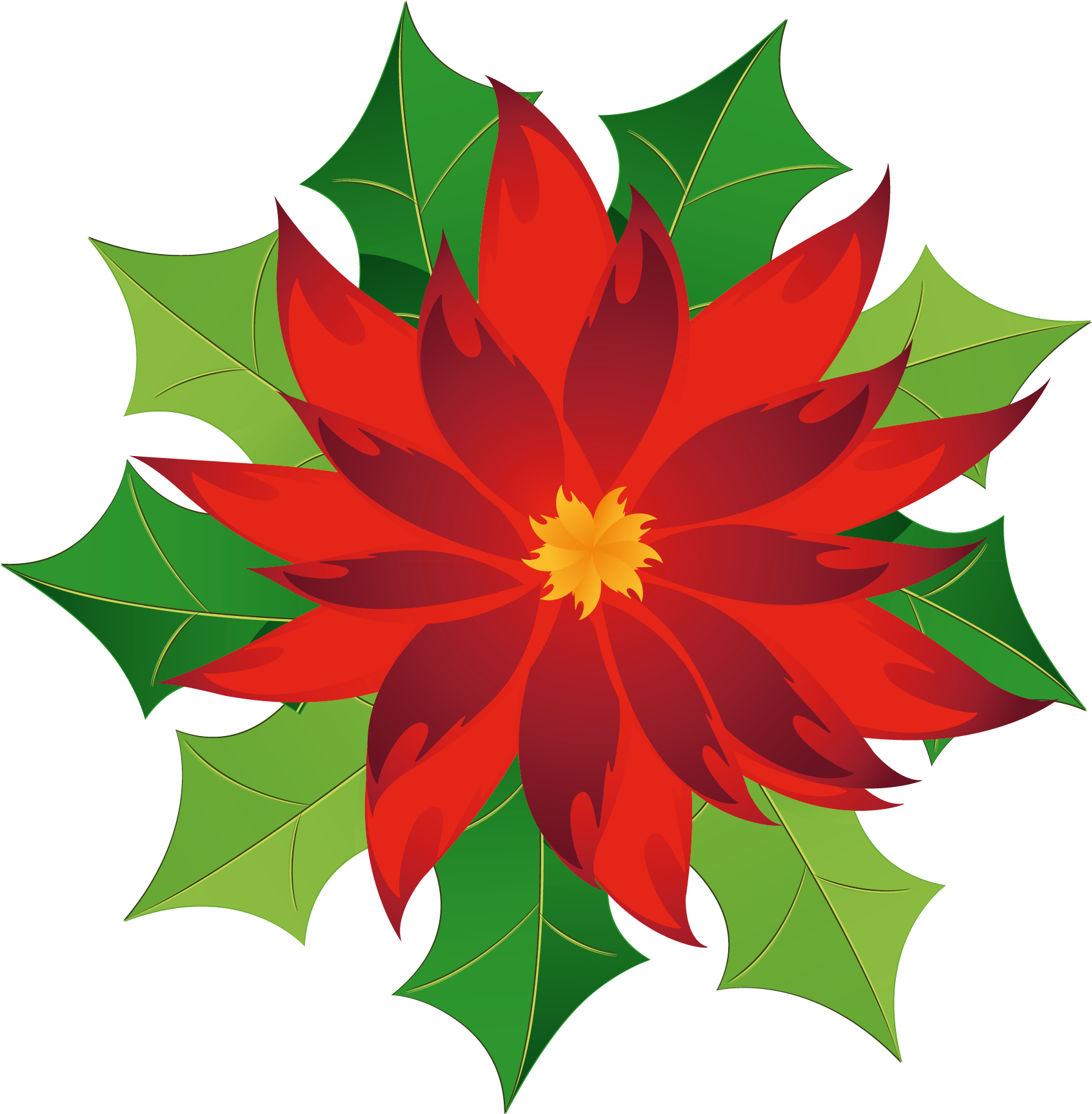Christmas Poinsettia Clipart - Poinsettia Clip Art (1807x1788), Png Download