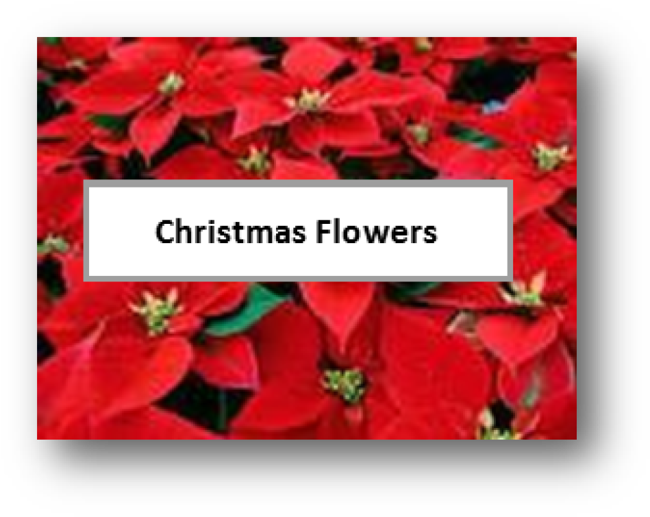 Online Giving - Poingreetplain Note Cards (pk Of 20) (968x768), Png Download
