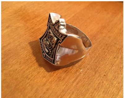 Costume Vigoroux's Kenpo Shield Shape Silver Ring - Titanium Ring (498x373), Png Download